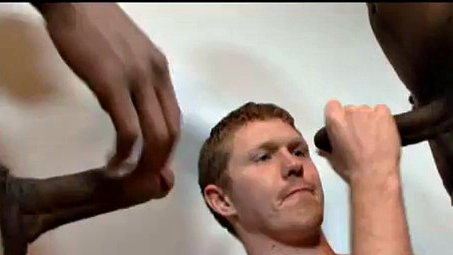 Drewno Dallas