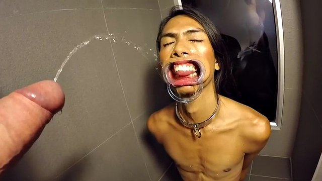 Cat: Extreme vomit and piss