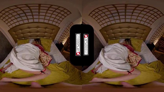 gsdfgsdfgsdfgdfsgsg：小狗、傳教士和業餘 VR 色情