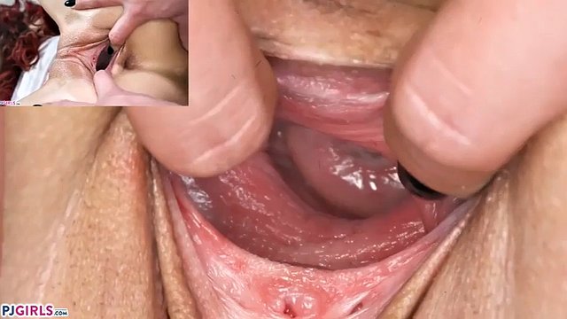 بهترین مجموعه PJGIRLS Gaping Pussy - Extreme Close Up (Tera Link، Lovita Faith، Jessica Bell، Isabella Christine)