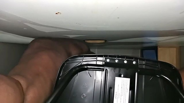 Thot in Texas - Ebony Pussy Homegrown Black Milf