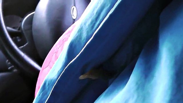 BBW slut gets her asshole stuffed by a hard BBC
