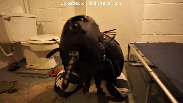 Adaras Life: Hardcore, Fetish & Bondage Porn