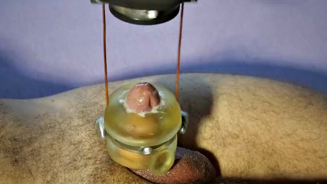 Milking Cum Machine 05