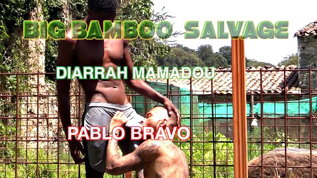A big black African cock fucks a sexy tattooed Latino guy in the countryside. - Big Bamboo Salvage