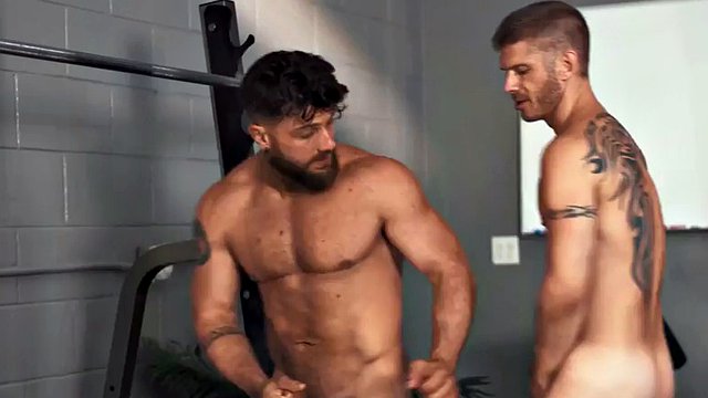 筋肉質の精力的なスポーツマンがハンサムなジムのパートナーのお尻を情熱的にセックスする