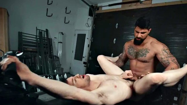 Fusto tatuato scopa uno stallone ninfomane nel culo alla pecorina