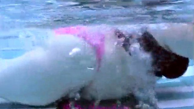 ssbbw bajo el agua