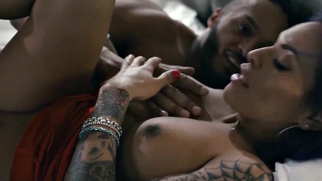 Trans Sensual - Sexy Ts Foxxy tranny babe loves BBC in her ass