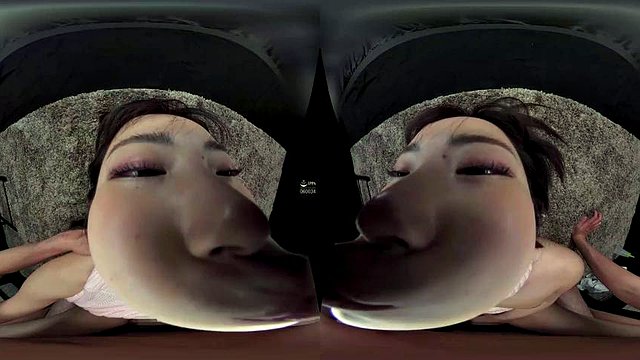wvr-8006-3: Blowjob, Bongacams og japansk porno