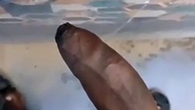 Boys masturbate in the bathroom